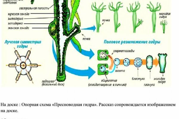 Маркетплейс кракен